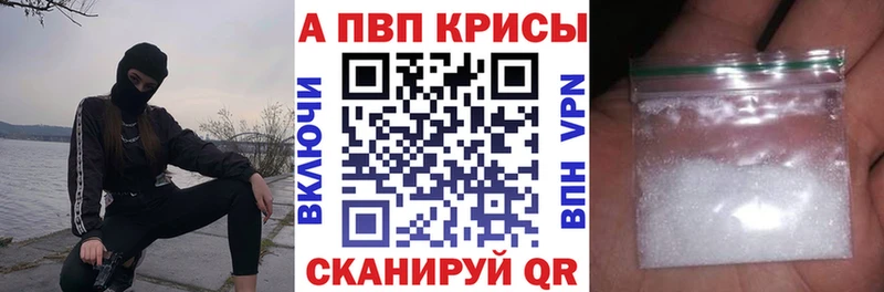 Альфа ПВП СК Мурманск