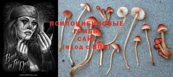 MESCALINE Баксан