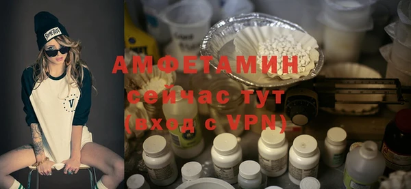 молекула духа Арсеньев