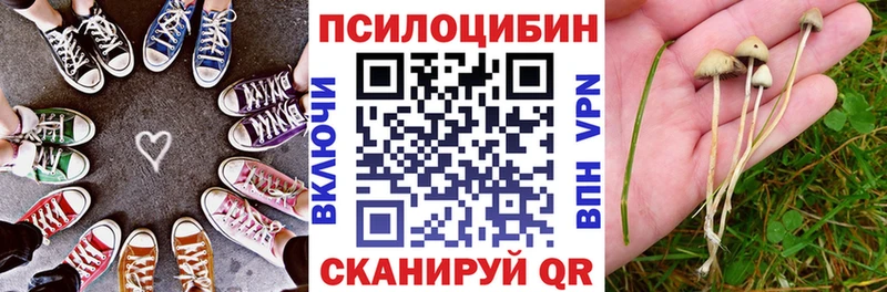 Псилоцибиновые грибы Psilocybe  Мурманск 