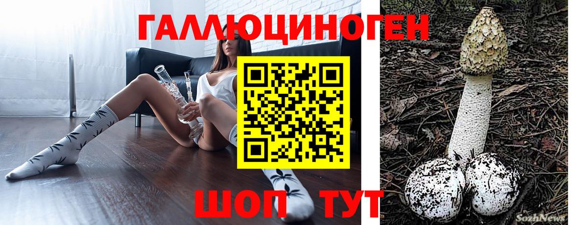 Галлюциногенные грибы Psilocybe Мурманск