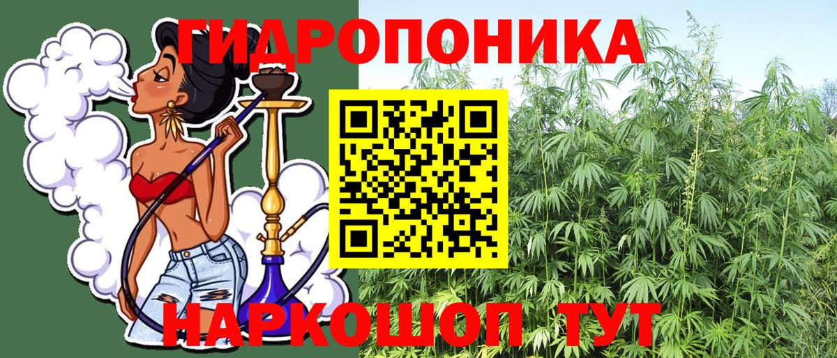 Канабис индика  Каннабис Amnesia  Вход с VPN  Бошки Шишки THC 21%  Мурманск 